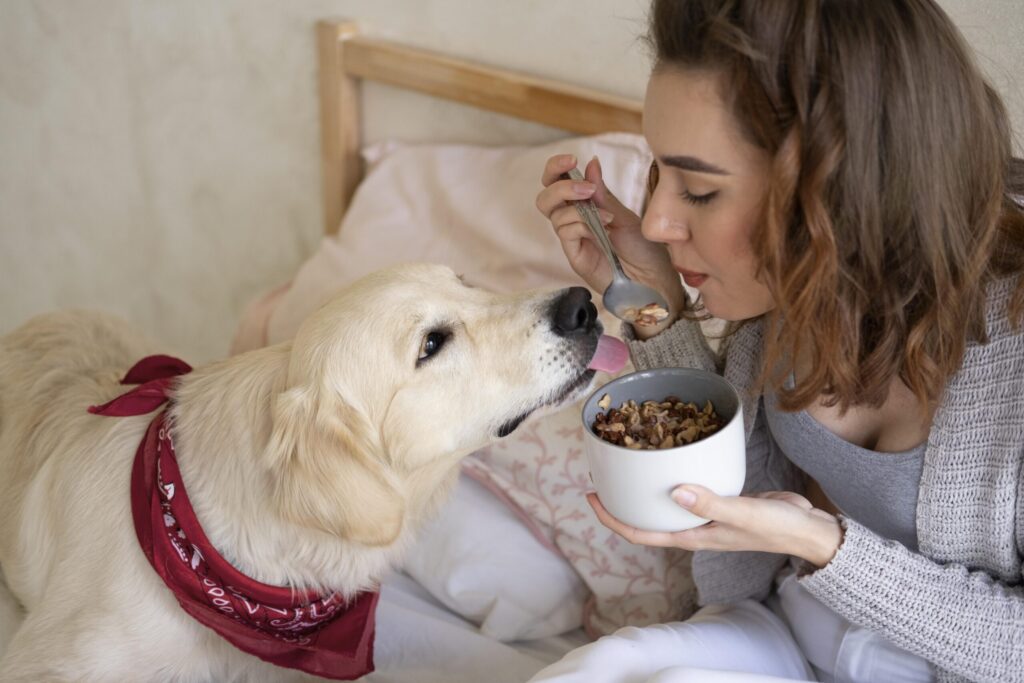 Alimentos tóxicos para perros