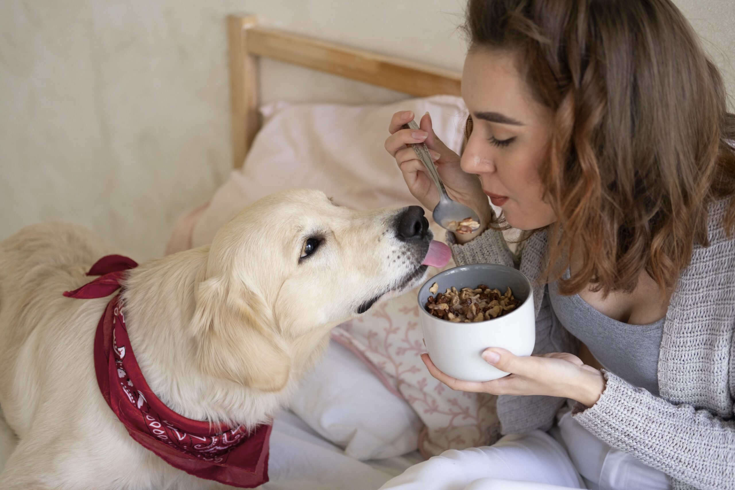 Alimentos tóxicos para perros que pueden poner en riesgo su salud