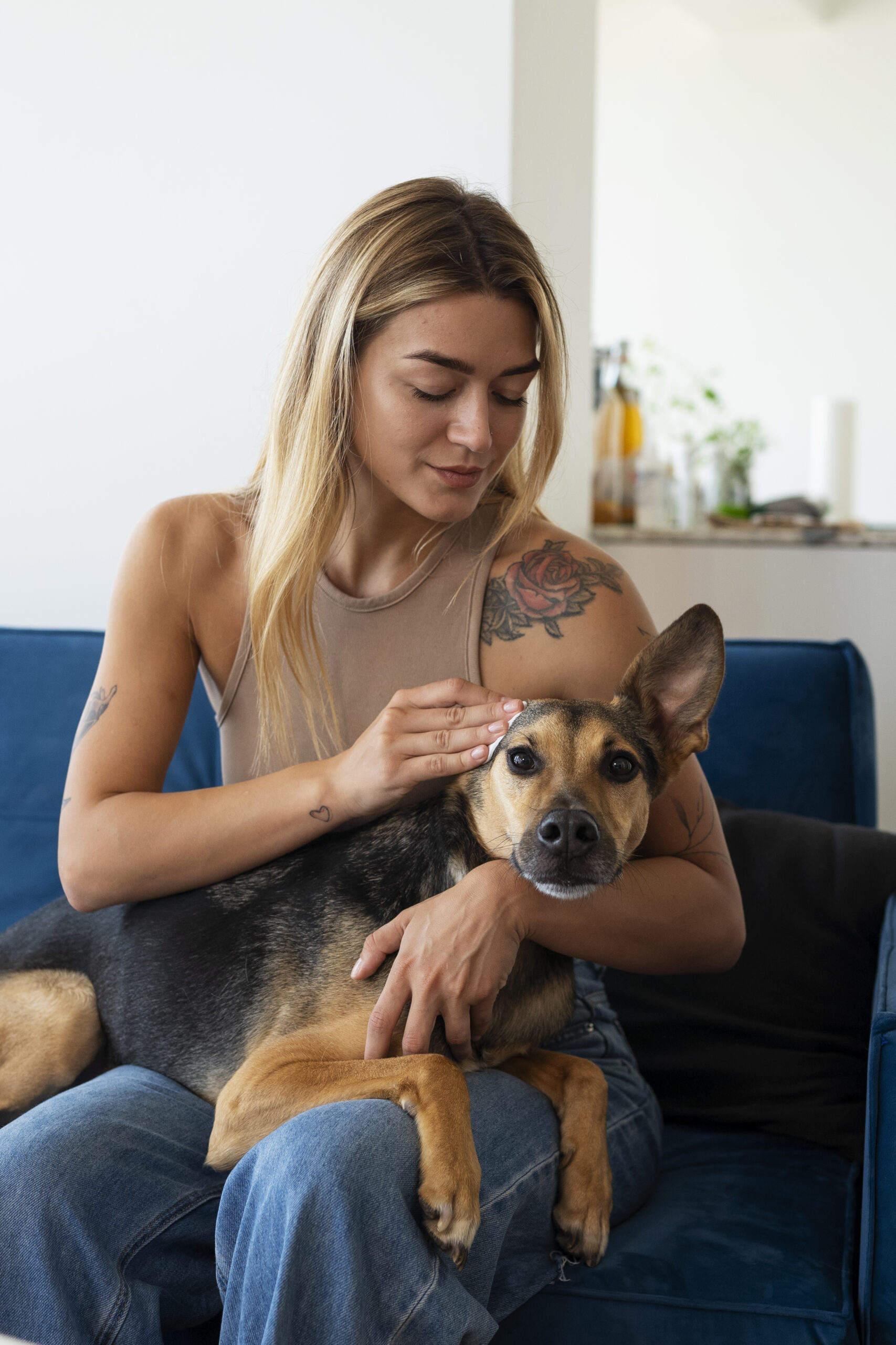 Alergias en perros: síntomas y formas de propiciar su bienestar