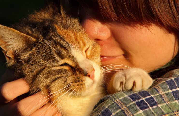 Pet lovers: cómo han transformado la sociedad | Belina