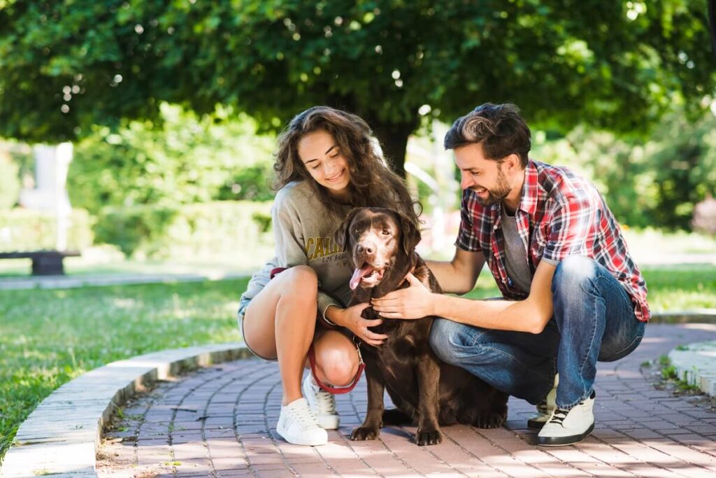 Qué es el bienestar animal y cómo asegurarlo | Belina