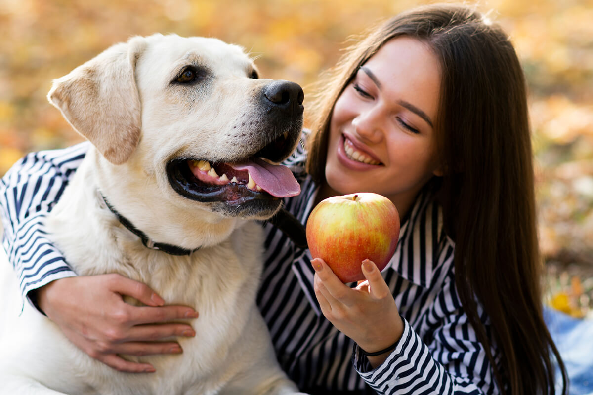 Qué frutas pueden comer los perros y disfrutar al máximo