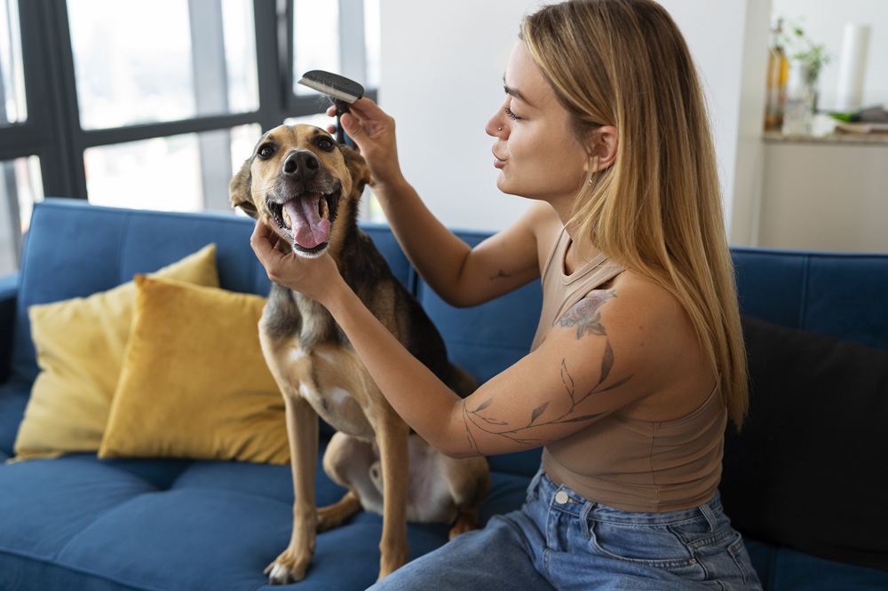 Quitar pelos de gato y perro: trucos para la ropa | Belina