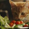 Verduras que pueden comer los gatos: 10 opciones | Belina